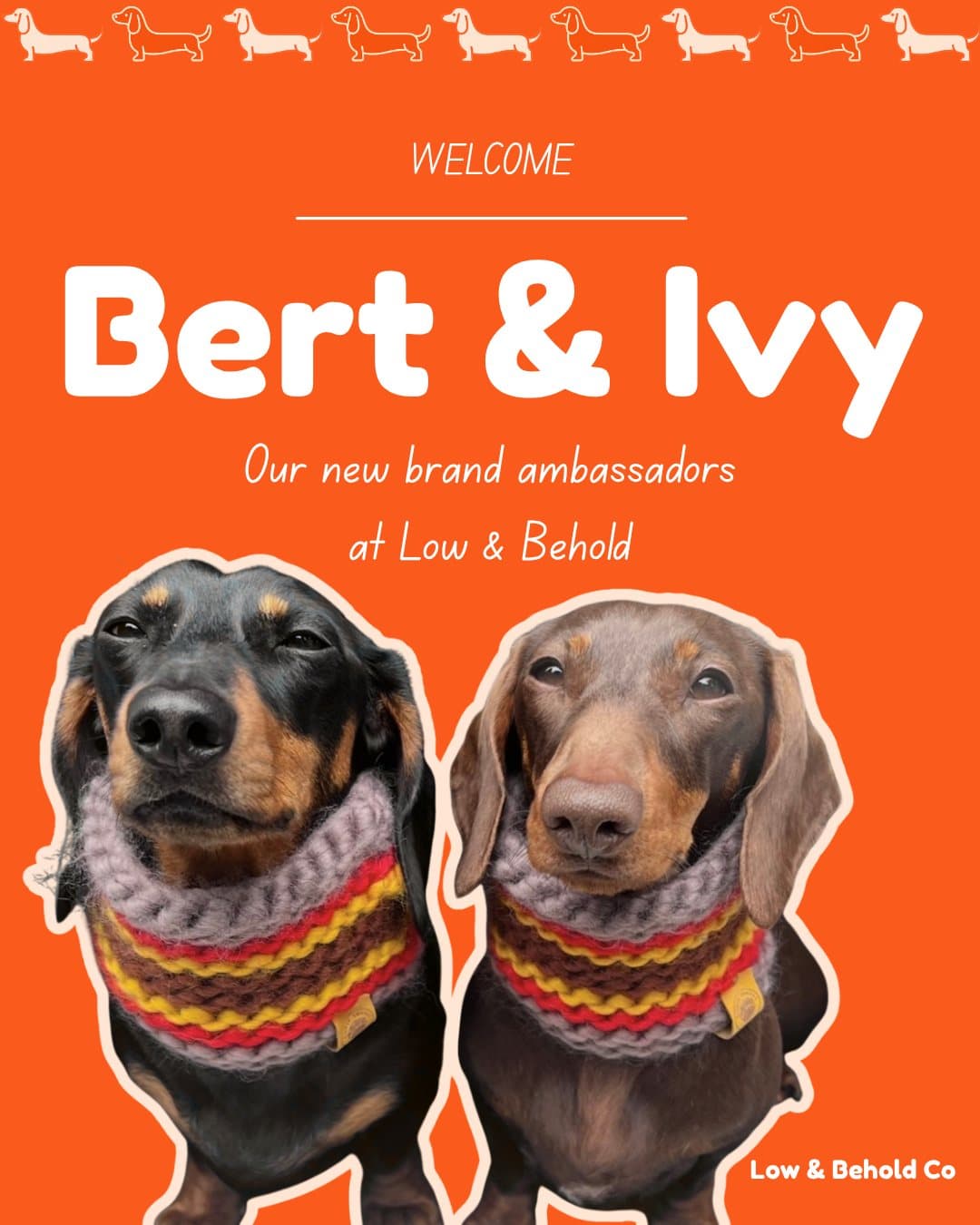 Bert and Ivy, new Low & Behold brand ambassadors