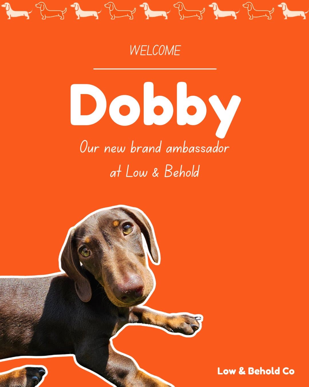 Dobby, a Low & Behold brand ambassador