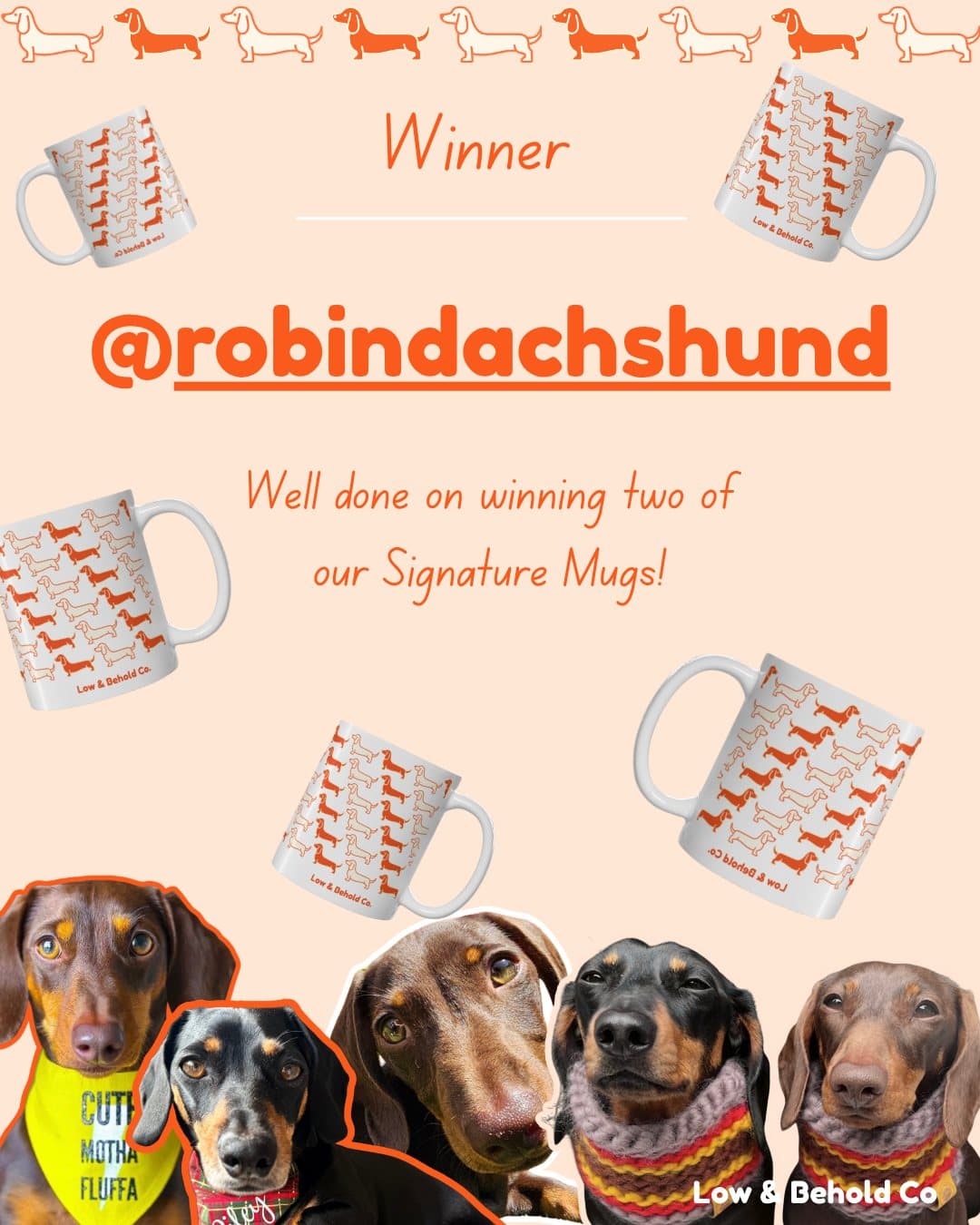 Giveaway winner @robindachshund wins two Signature Mugs
