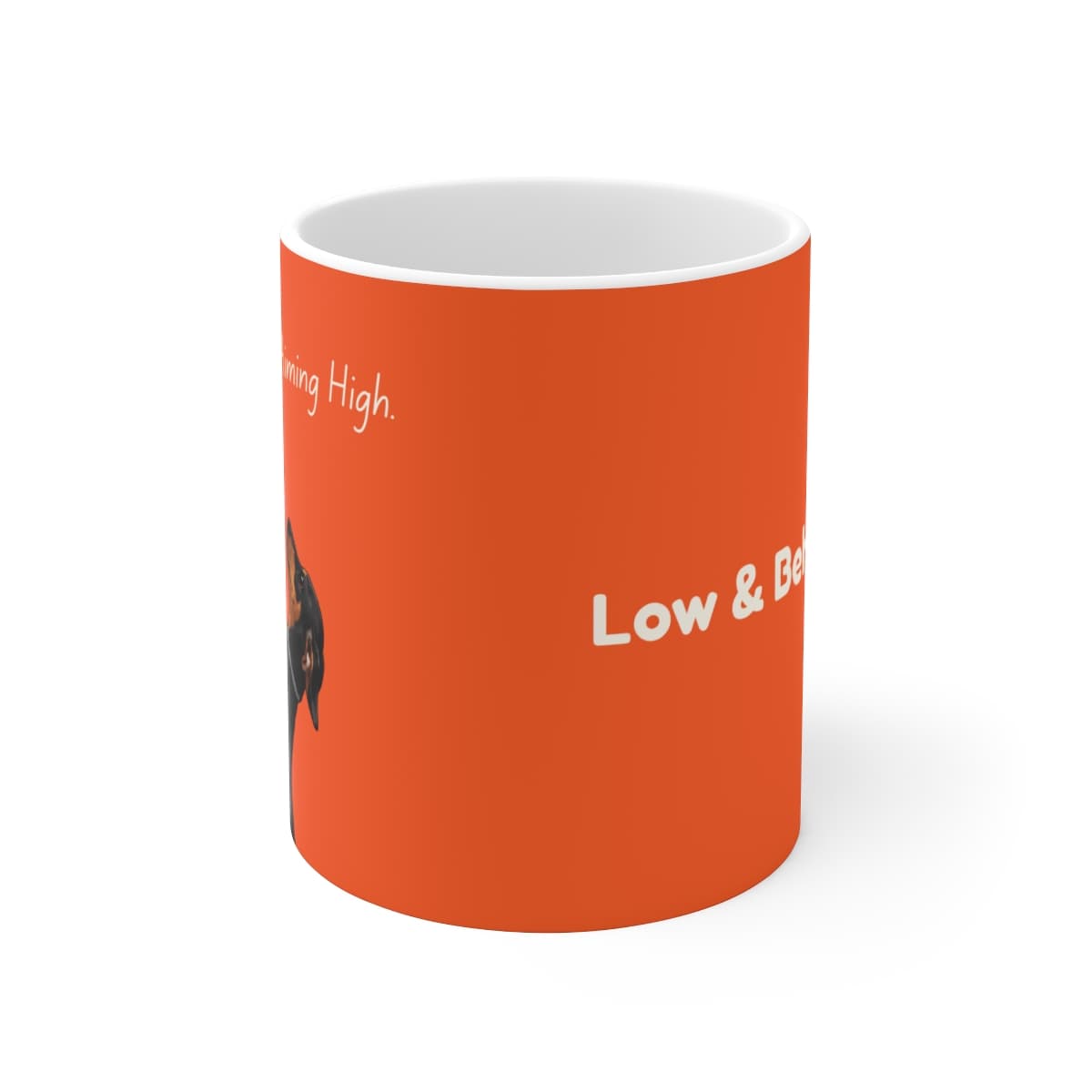 "Built Low, Aiming High" Mug