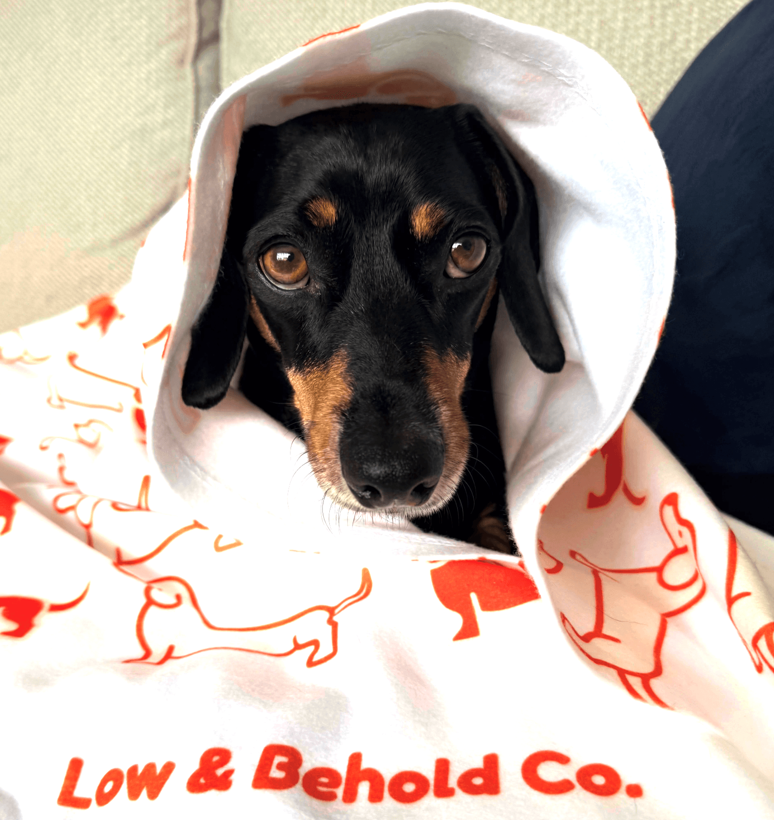 Signature Blanket